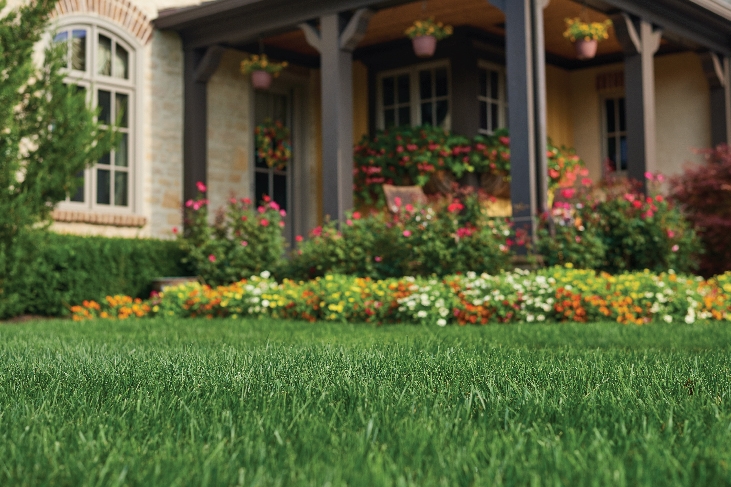 Lawn Maintenance: A Joyous Outdoor Activity!