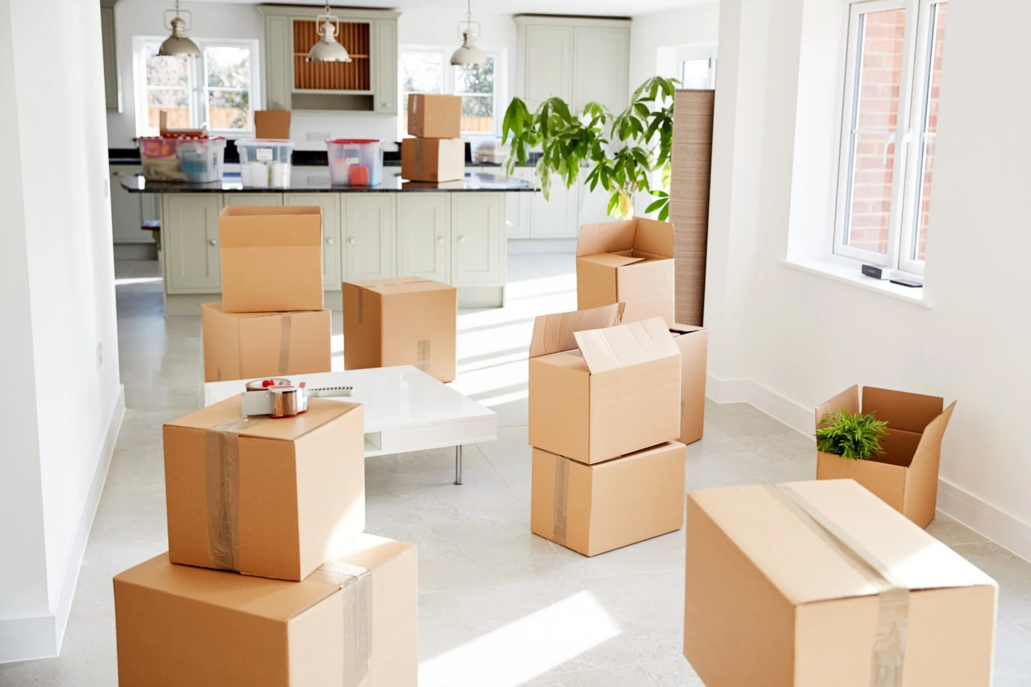 Smooth Moves: Finding a Fantastic Moving Company